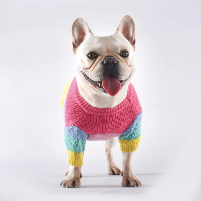 Casaco Pet Rainbow - Roupinha de frio para cachorro