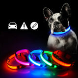 Coleira LED para Cachorro LightWalk™ - Recarregável USB