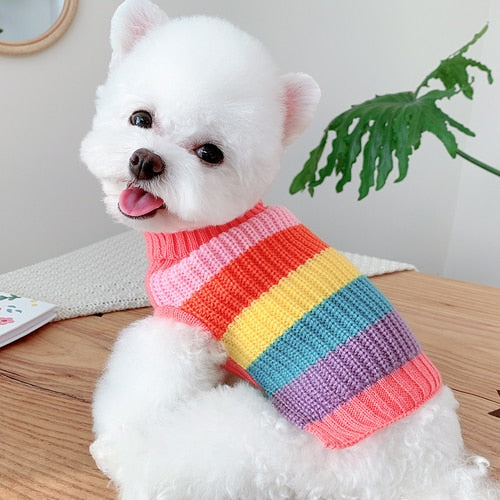Blusa Pet Lã Candy - Roupinha para Cachorro