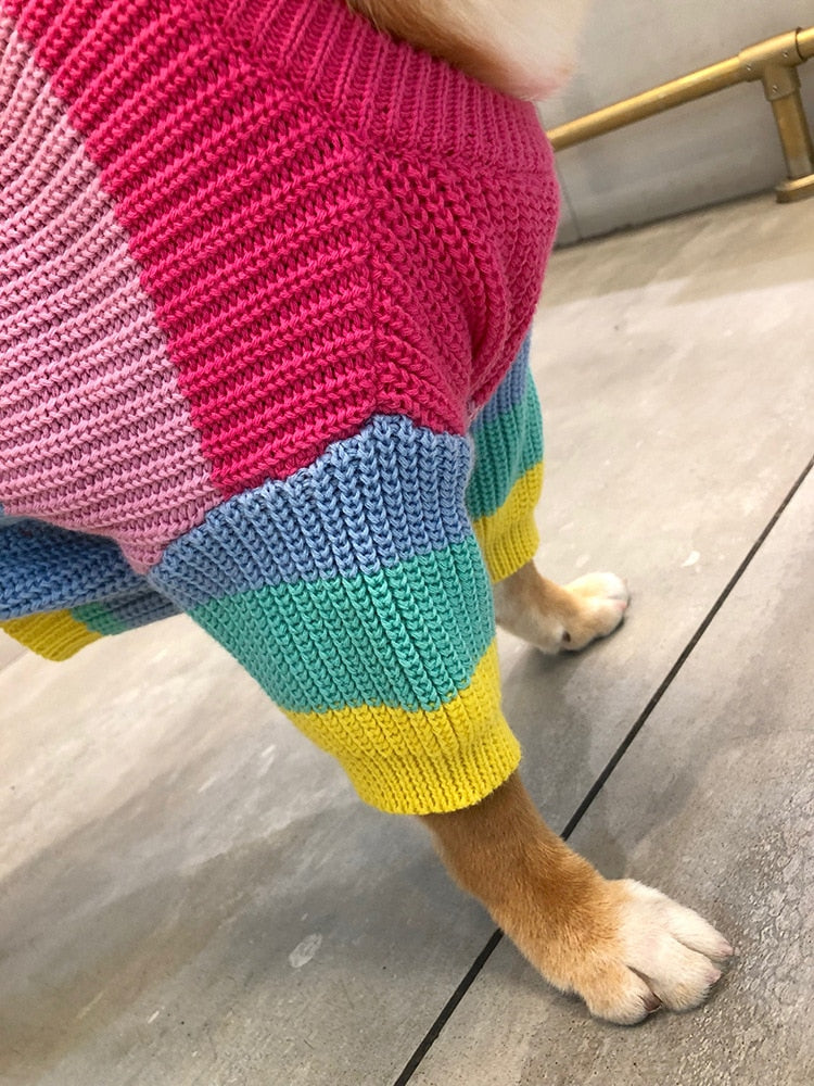 Casaco Pet Rainbow - Roupinha de frio para cachorro