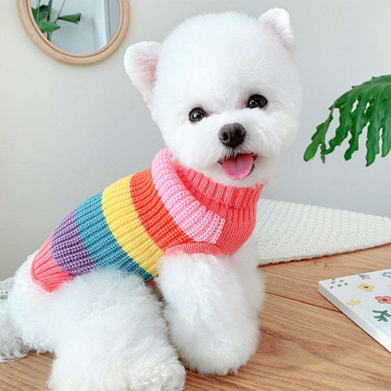 Blusa Pet Lã Candy - Roupinha para Cachorro