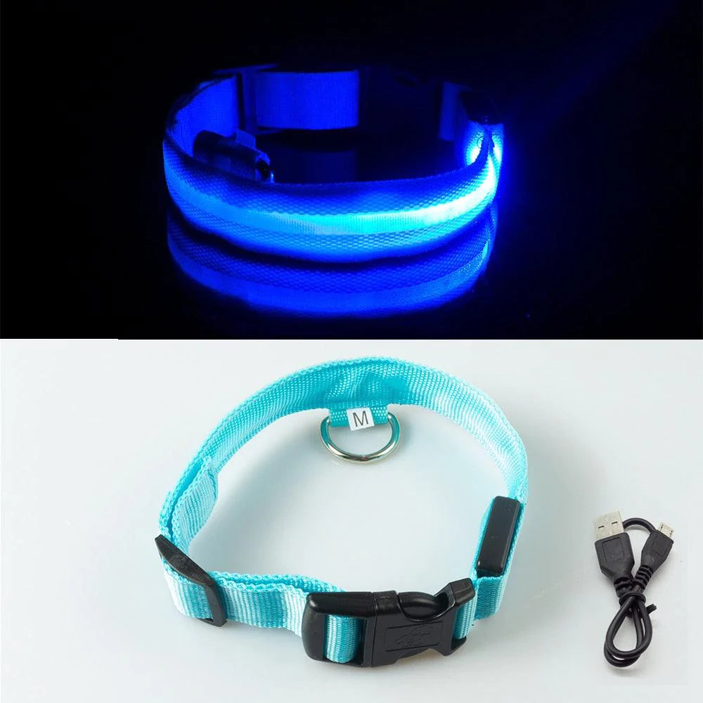 Coleira LED para Cachorro LightWalk™ - Recarregável USB