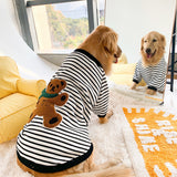 Blusão Pet Ursão - Roupa para Cachorros Grandes