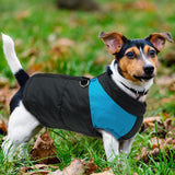 Colete de Frio Sport para Cachorros - Roupinha para Cães Pet