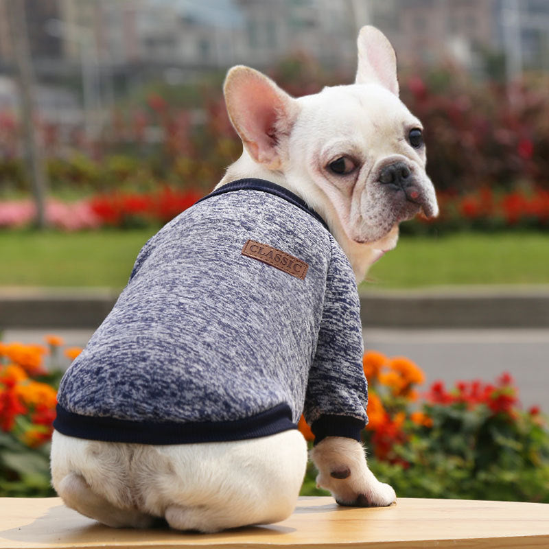 Blusa Cute Pet - Roupinha de frio para cachorro