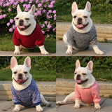 Blusa Cute Pet - Roupinha de frio para cachorro