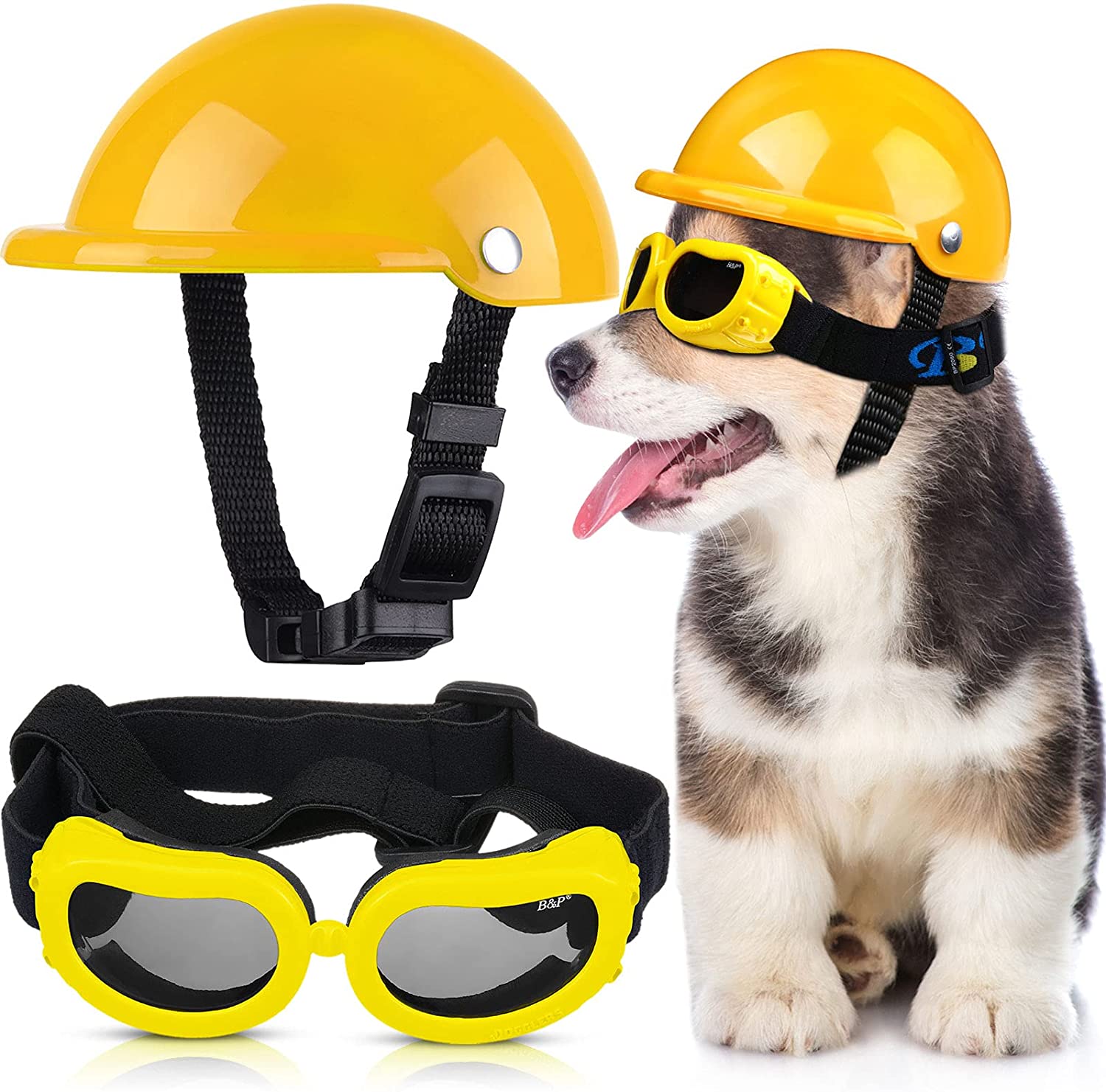 Capacete e Óculos para Cachorro - Motor Pet