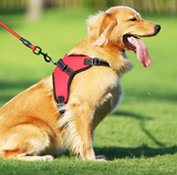 Peitoral Pet Safe™ Anti Sufocamento e Anti Puxão